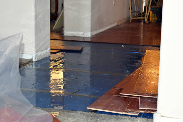 Professional Burst Pipe Cleanup technician working in Pullman, MI