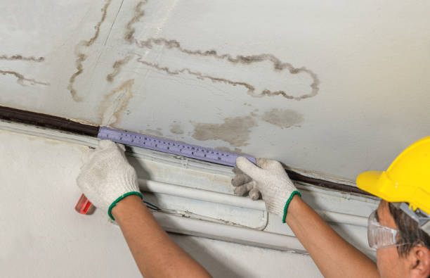 Reliable Burst Pipe Cleanup contractor in Pullman, MI by Water Damage Irwin
